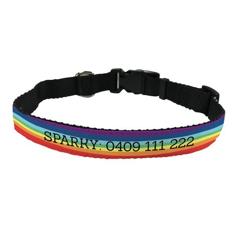 Rainbow Pet Collar - Large