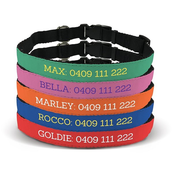Design Your Own Pet Collar - Small
