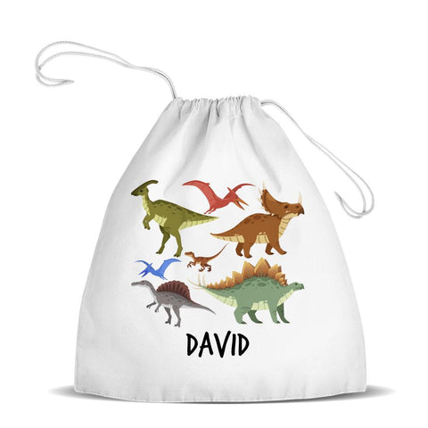 Dinosaur Design Premium Drawstring Bag