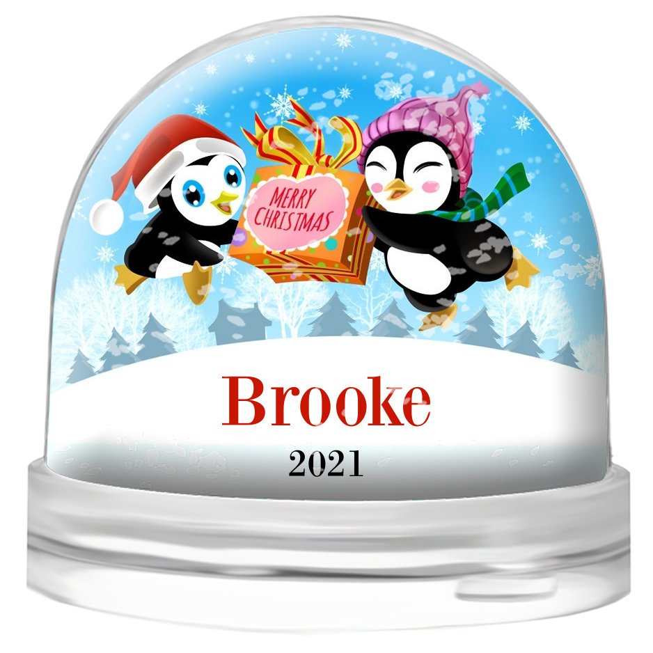 Two Penguins Snow Globe